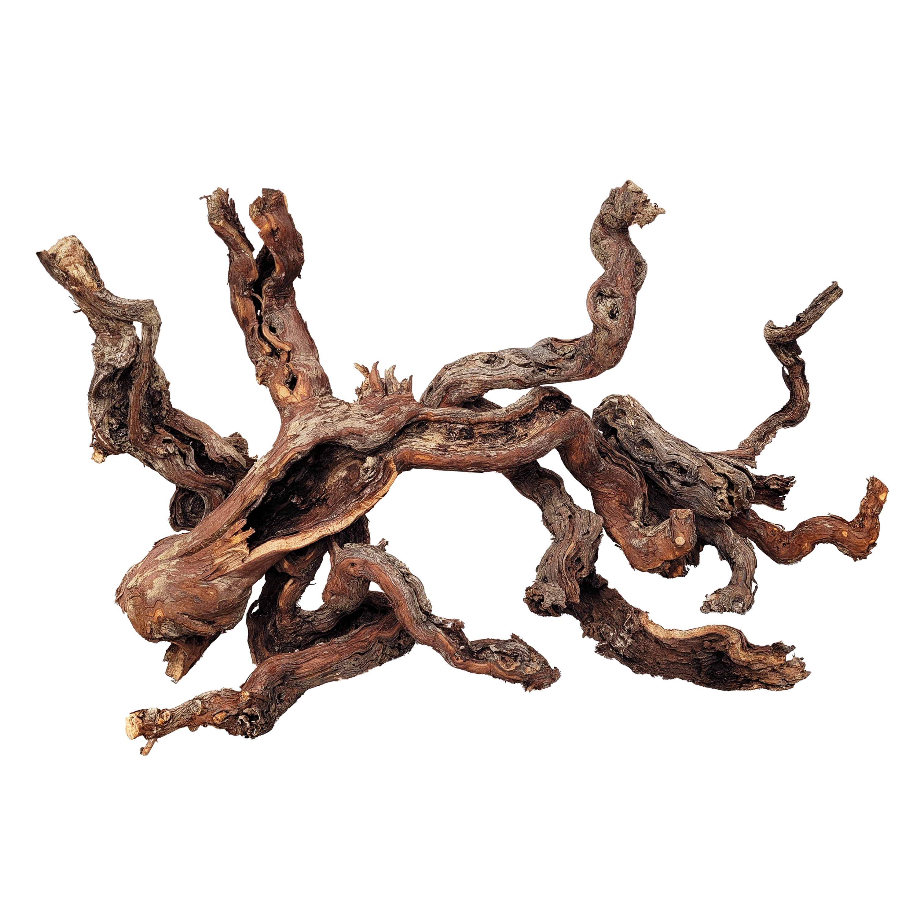 WIO Wood - Premium Aquarium Supplies for Your Fish Tank