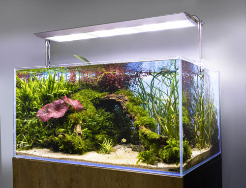 AquaEL UltraSlim BT