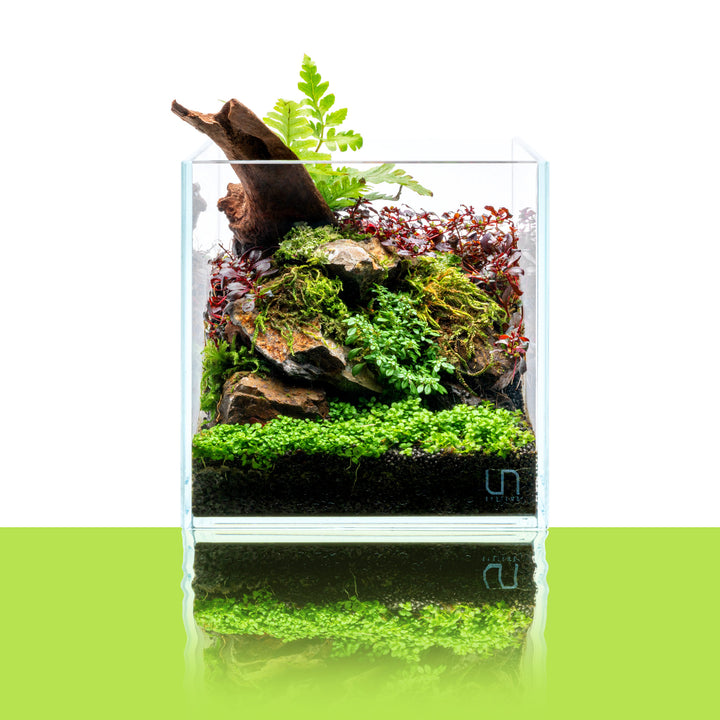 UNS Rimless CUBE Aquariums