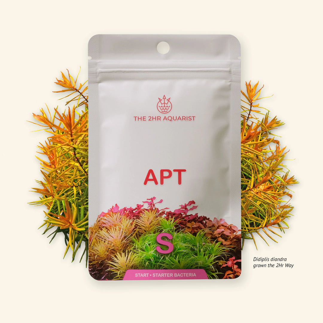 2HR Aquarist APT S-Starter Bacteria