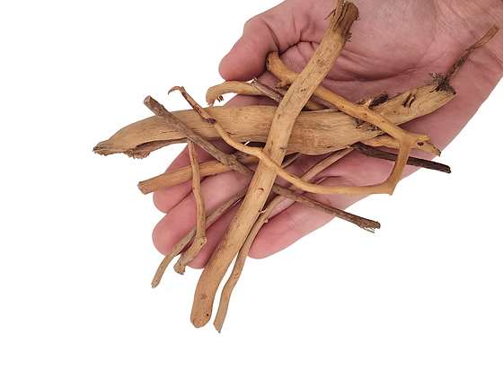 WIO Roots - Spider Twigs