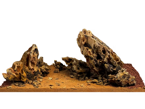 WIO River Kit - Amber Dragon