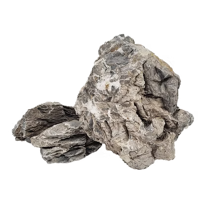 WIO Stone - Ryuoh(Seiryu)