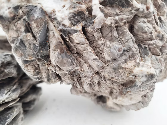 WIO Stone - Ryuoh(Seiryu)