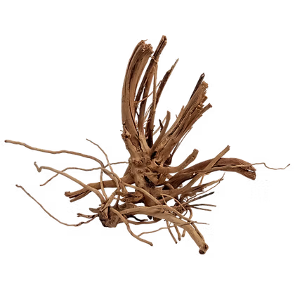 WIO Wood - Blondspider