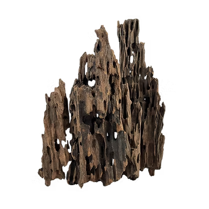 WIO Wood - Dragonscale