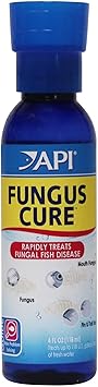 API Fungus Cure