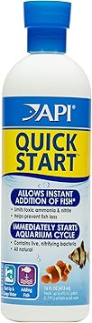 API Quick Start