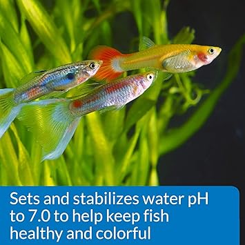 API Proper pH 7.0
