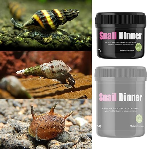 GlasGarten - Snail Dinner
