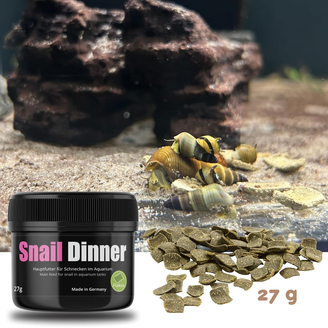 GlasGarten - Snail Dinner