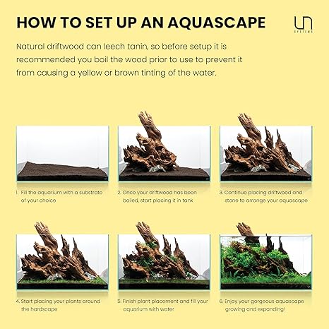 UNS Amazon Wood