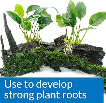 API Root Tabs-10 pack