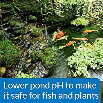 API Pond pH Down