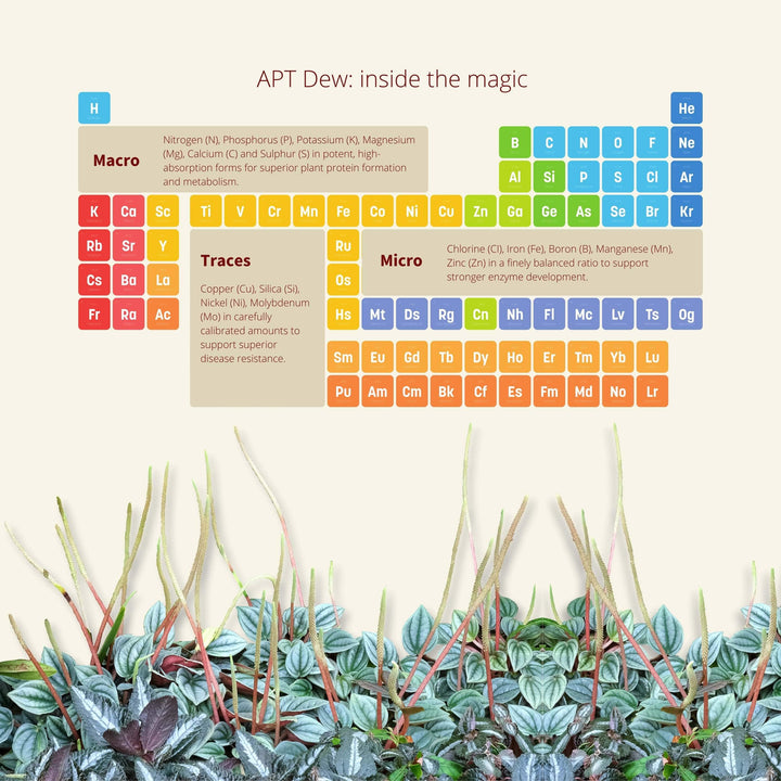 2HR Aquarist APT Dew