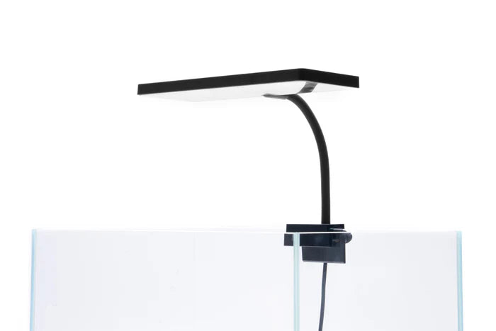 Aqua Worx EOS LED Light