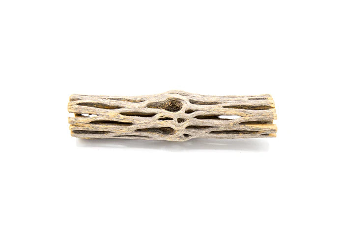 UNS Cholla Driftwood Sticks