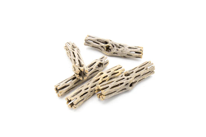 UNS Cholla Driftwood Sticks