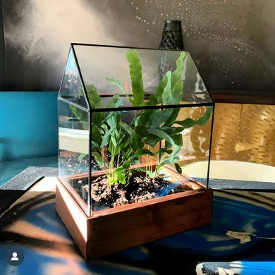 Leadhead Glass Arber Stained Glass Terrarium