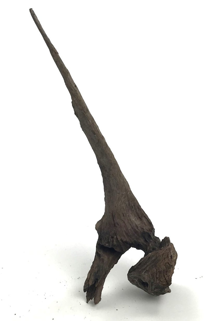 AquaLife Driftwood-Black Forest