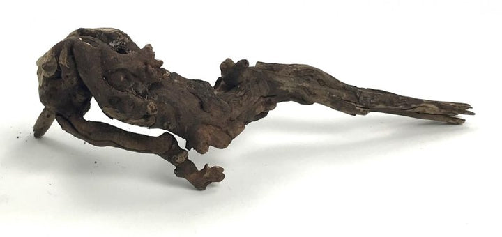 AquaLife Driftwood-Black Forest