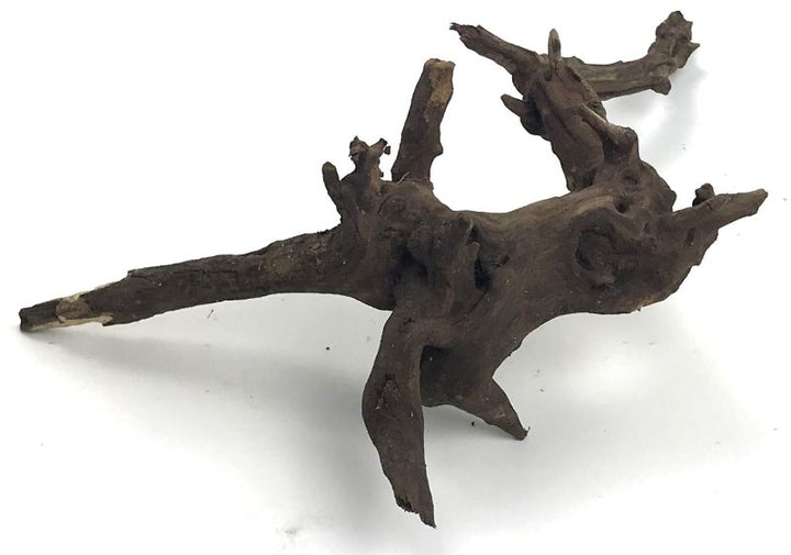 AquaLife Driftwood-Black Forest