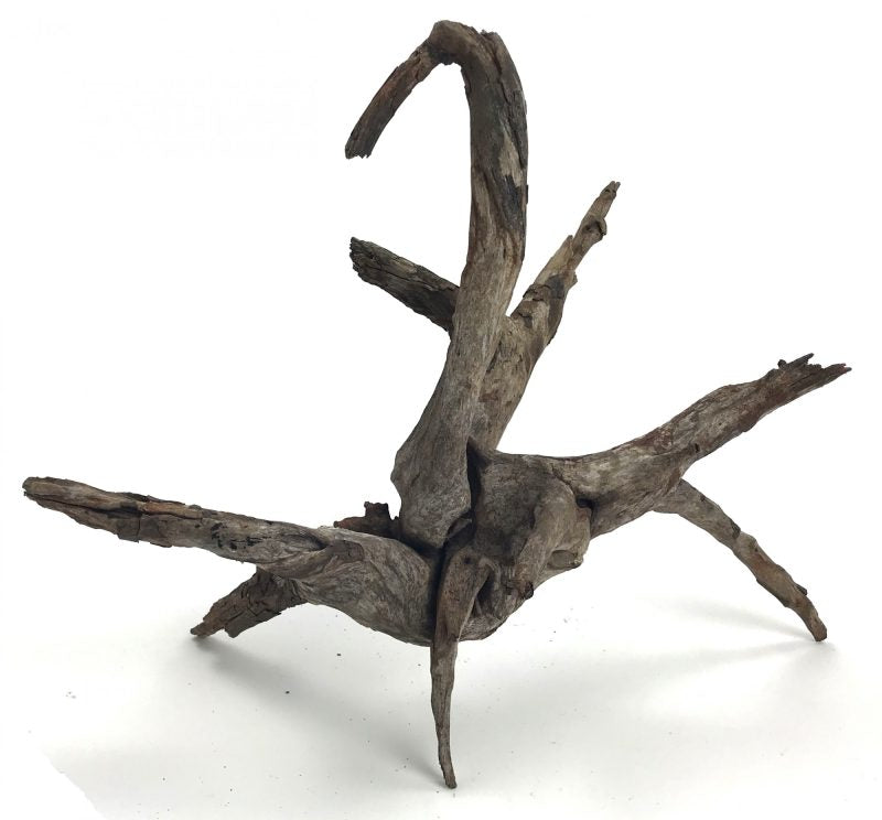 AquaLife Driftwood-Black Forest