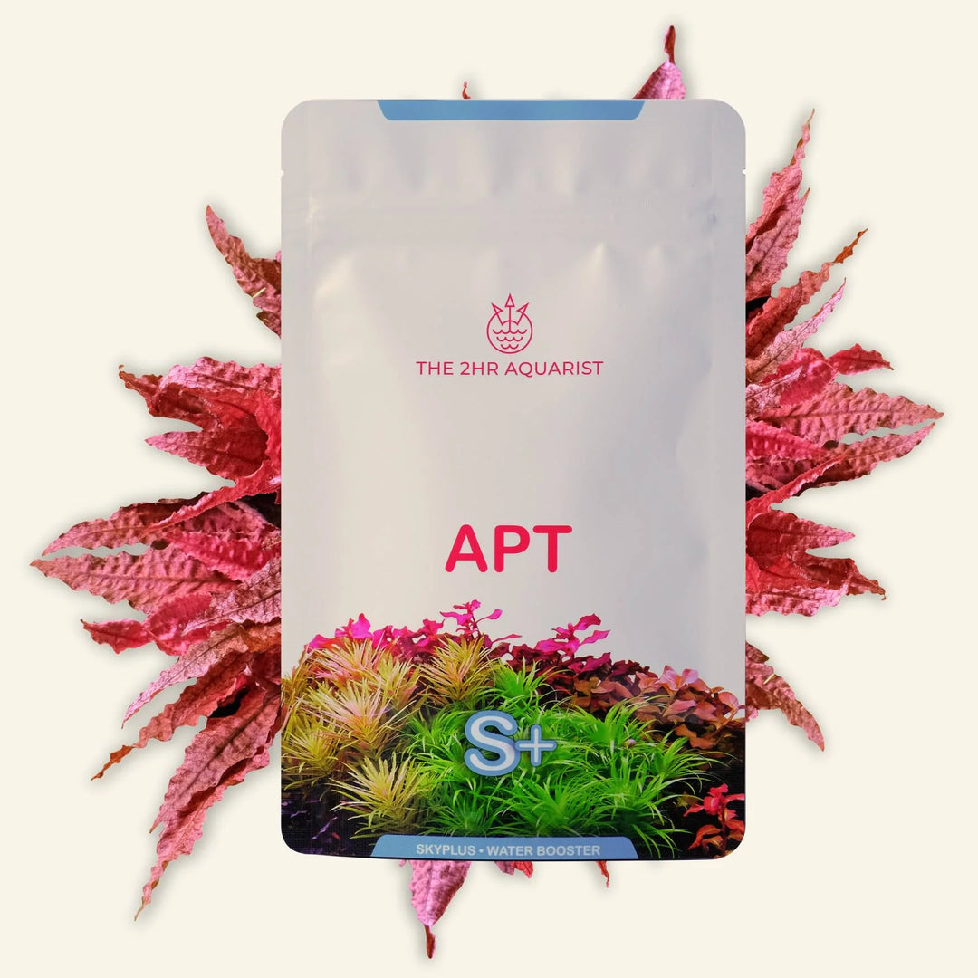 2Hr Aquarist APT SKY Plus