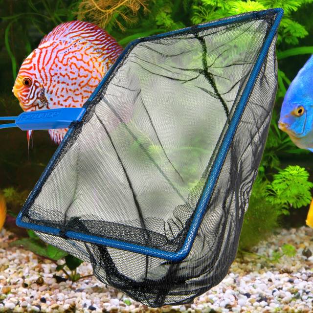 Central AquaTop mesh fish net with a long handle and fine mesh for safely catching and handling fish.
