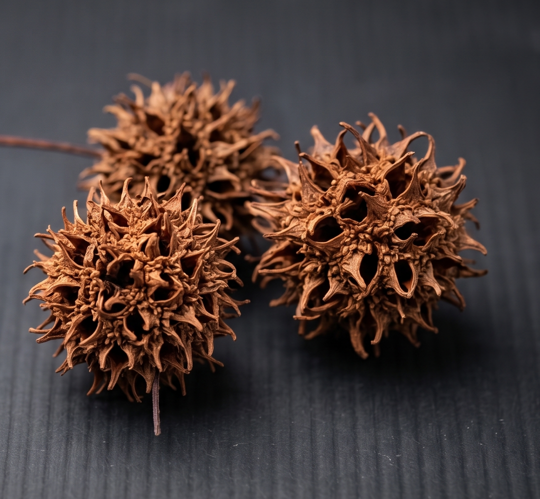WIO Pods - Liquidamber Pod