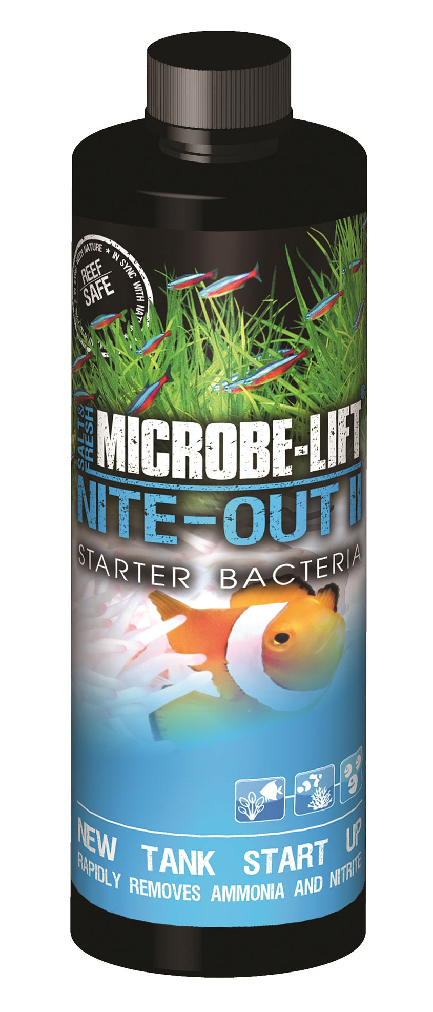 Eco-Labs Microbe-Lift Nite-Out II Starter Bacteria