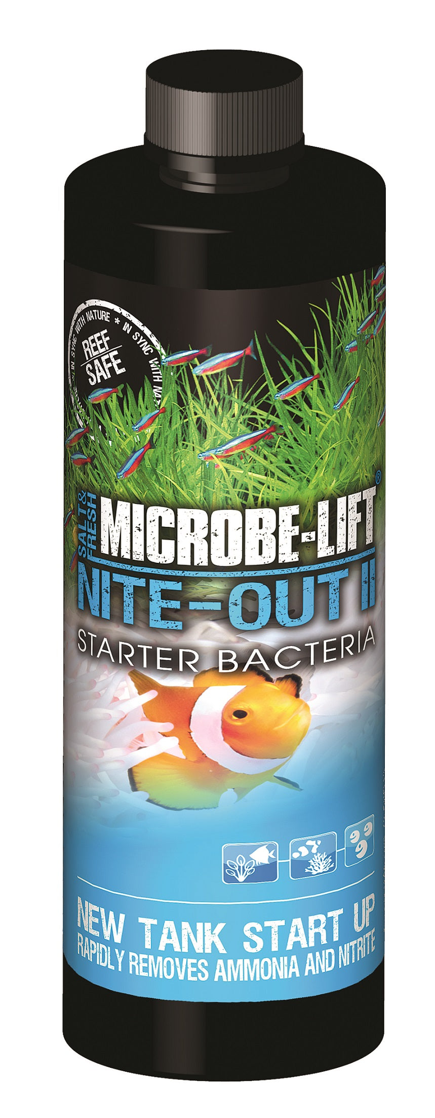 Eco-Labs Microbe-Lift Nite-Out II Starter Bacteria