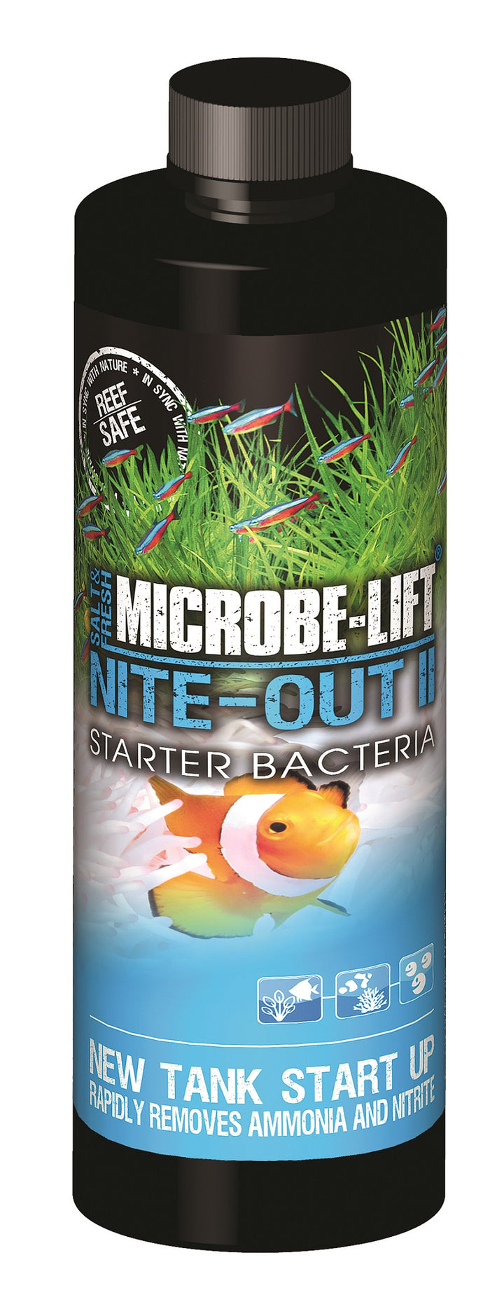 Eco-Labs Microbe-Lift Nite-Out II Starter Bacteria