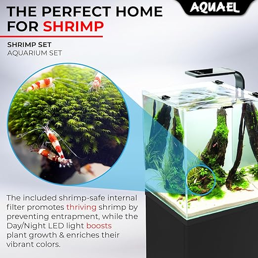 AquaEL Shrimp Set