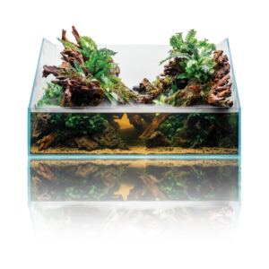 UNS Rimless Paludarium
