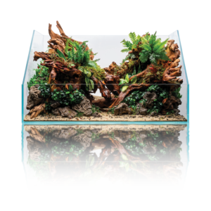 UNS Rimless Paludarium
