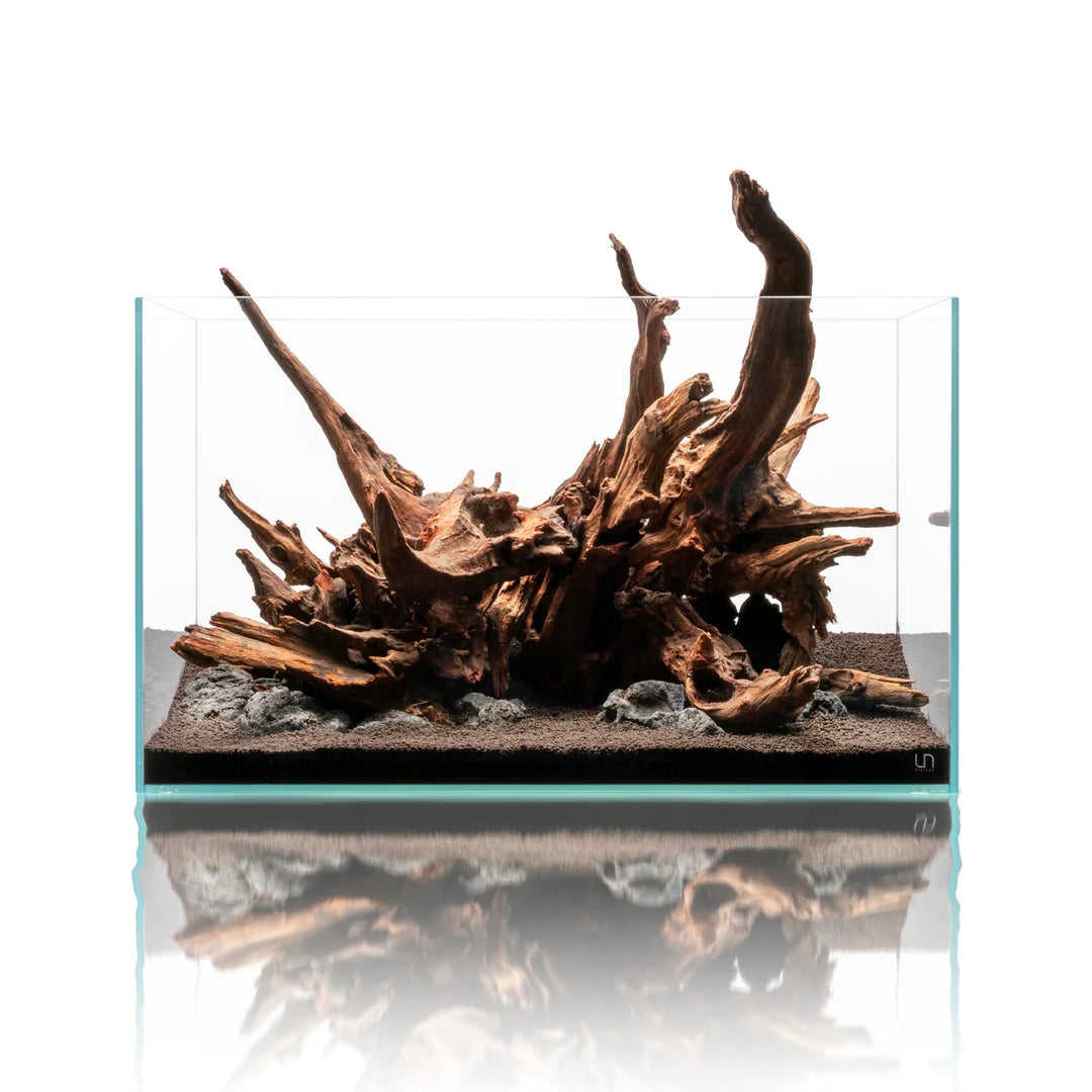UNS Malaysian Driftwood
