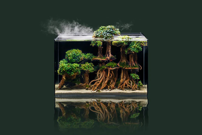 UNS All in One Rimless Aquariums
