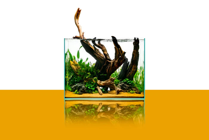 UNS Rimless Tall Aquariums