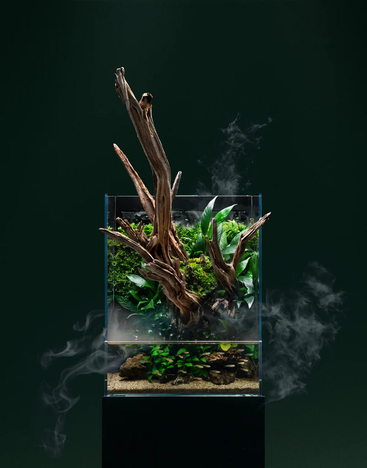 UNS Foresta Paludarium v2