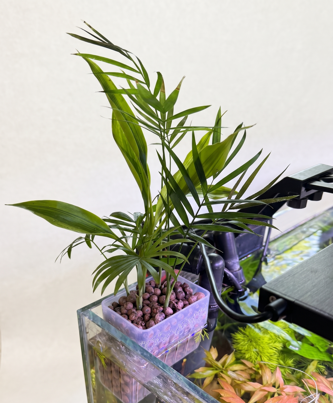 Hanging Plant Holder