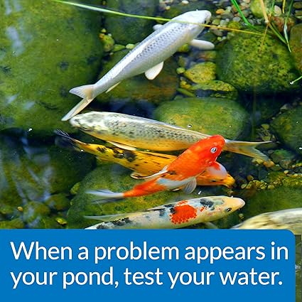 API Pond Master Test kit