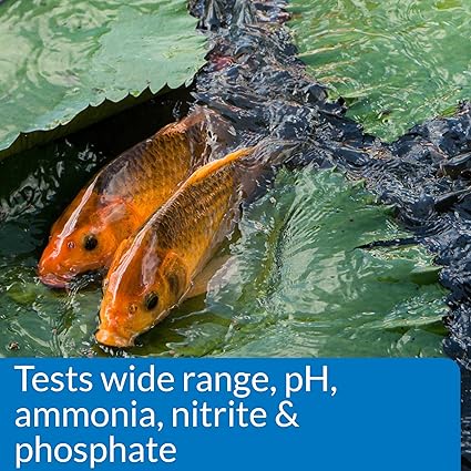 API Pond Master Test kit
