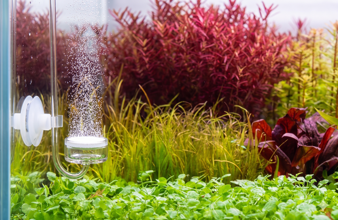 CO2 Workshop — Build Your Own CO2 System with the Cuboid Team (Friday, May 15th, 2026)