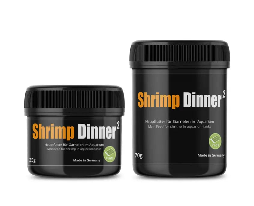 GlasGarten - Shrimp Dinner 2