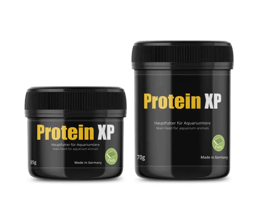 GlasGarten - Protein XP