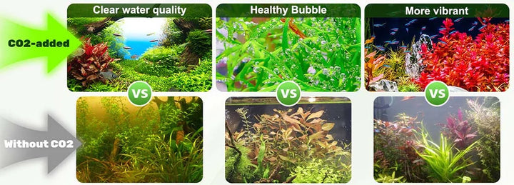 Hygger CO2 Generator Kit w/motorized valve