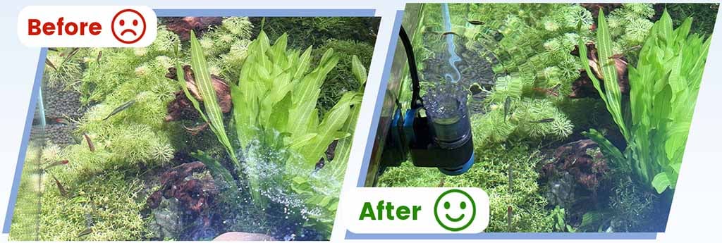 Hygger Magnetic Surface Skimmer