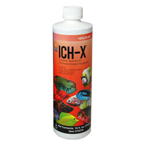 Hikari Ick-X