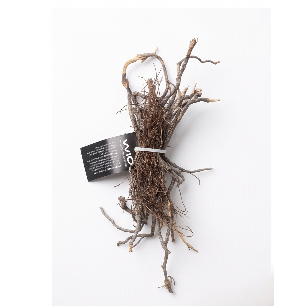 WIO Roots - Mini